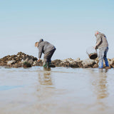 Image of Ben & Naomi collecting seaweed on the beach