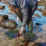 Naomi collecting seaweed