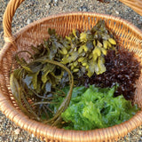 basket of cut fresh seaweed