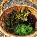 Basket of cut mixed seaweeds